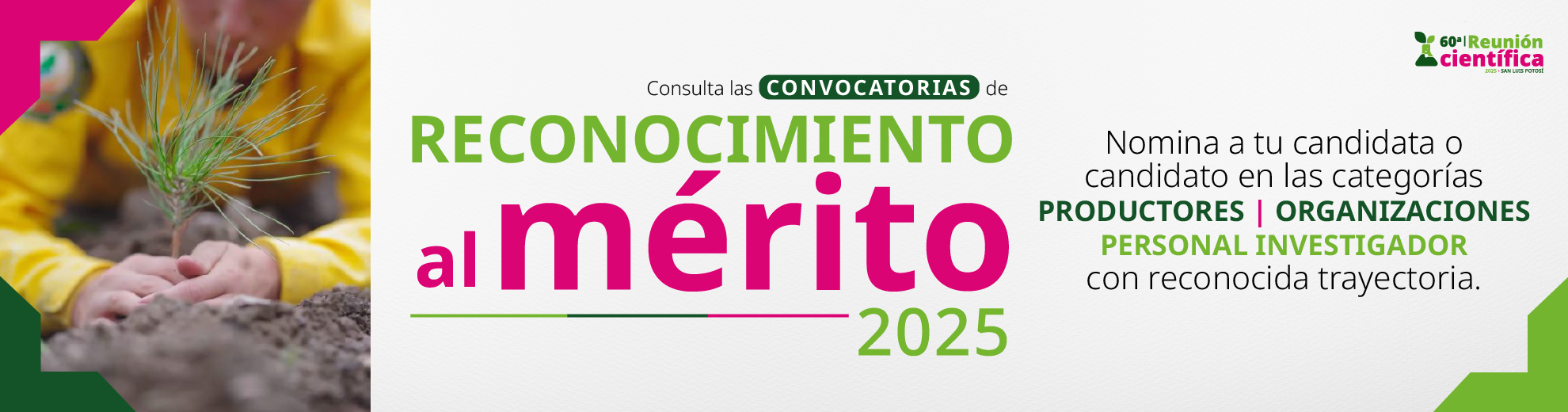 Reconocimiento al Mérito