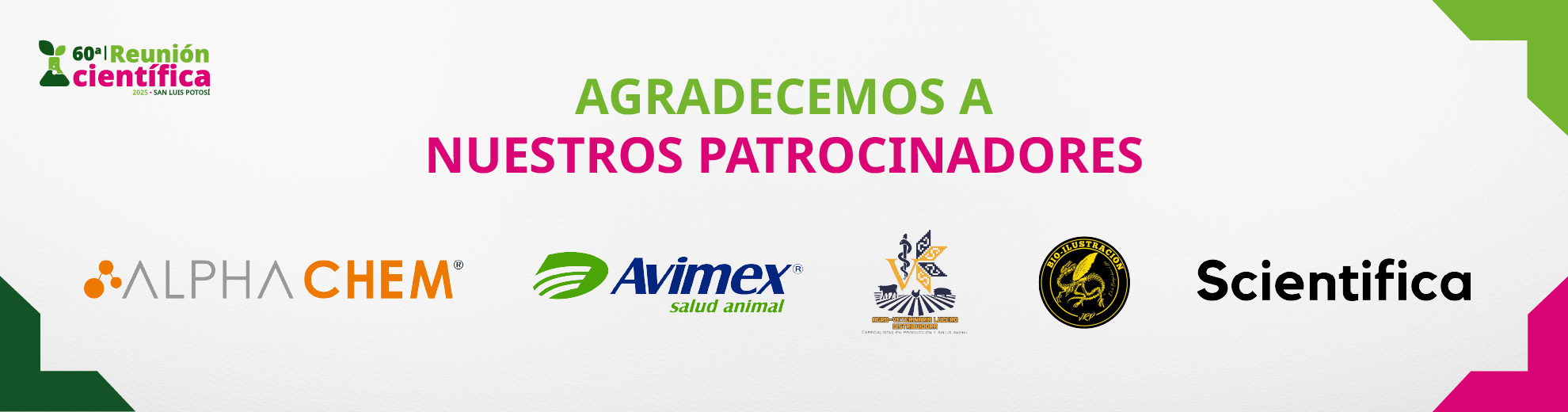 Patrocinadores