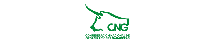 Patrocinador